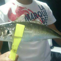 シースナイパー海龍 釣果