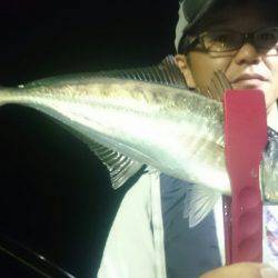 シースナイパー海龍 釣果