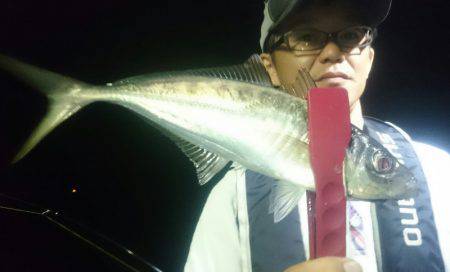 シースナイパー海龍 釣果