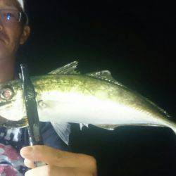 シースナイパー海龍 釣果