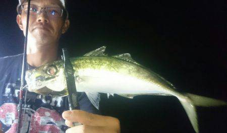 シースナイパー海龍 釣果