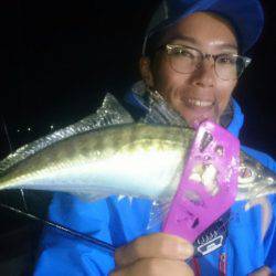 シースナイパー海龍 釣果