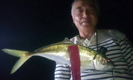 シースナイパー海龍 釣果