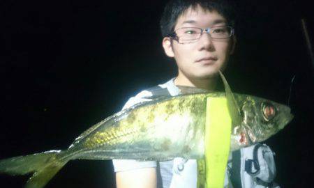 シースナイパー海龍 釣果