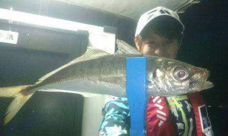 シースナイパー海龍 釣果