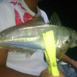 シースナイパー海龍 釣果