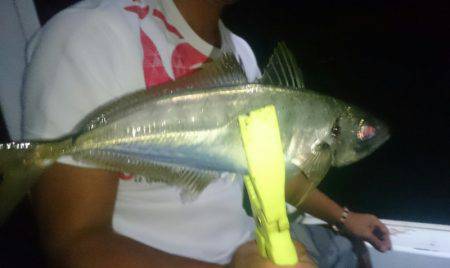 シースナイパー海龍 釣果