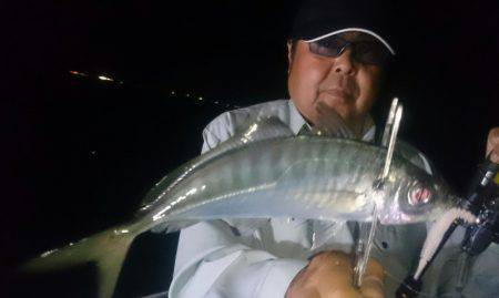 シースナイパー海龍 釣果