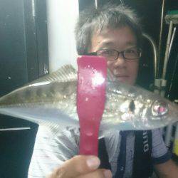 シースナイパー海龍 釣果