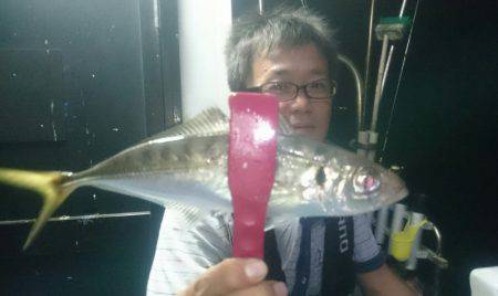 シースナイパー海龍 釣果