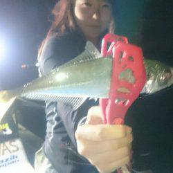 シースナイパー海龍 釣果