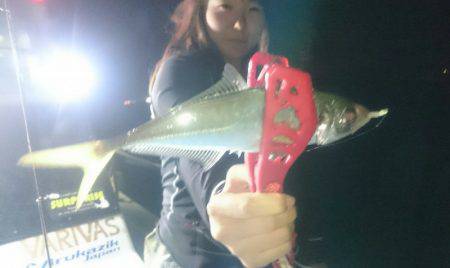 シースナイパー海龍 釣果