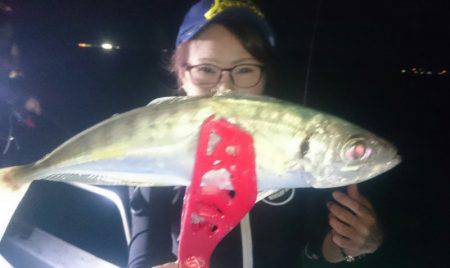 シースナイパー海龍 釣果