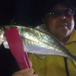 シースナイパー海龍 釣果