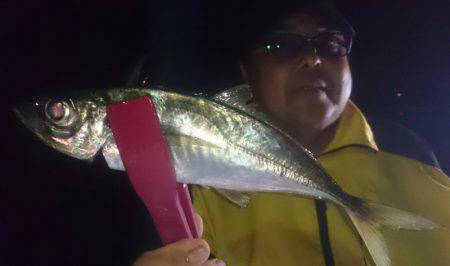 シースナイパー海龍 釣果