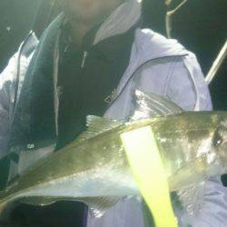 シースナイパー海龍 釣果