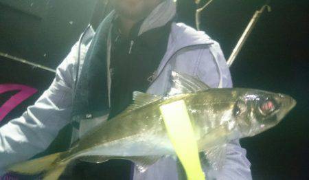 シースナイパー海龍 釣果