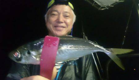 シースナイパー海龍 釣果