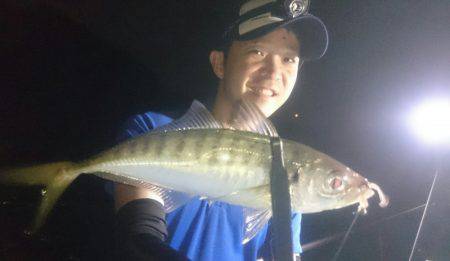 シースナイパー海龍 釣果