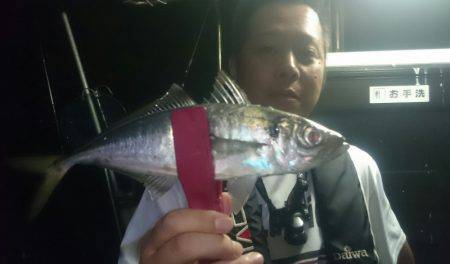 シースナイパー海龍 釣果