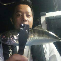 シースナイパー海龍 釣果