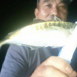 シースナイパー海龍 釣果