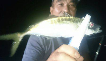 シースナイパー海龍 釣果