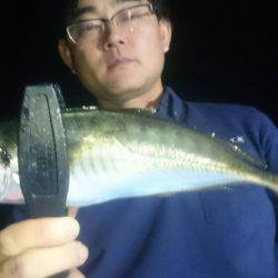 シースナイパー海龍 釣果