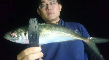 シースナイパー海龍 釣果