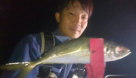 シースナイパー海龍 釣果