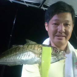 シースナイパー海龍 釣果