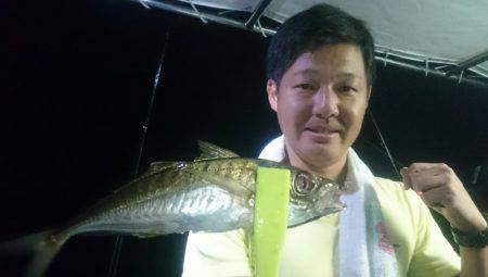 シースナイパー海龍 釣果