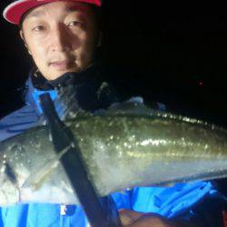 シースナイパー海龍 釣果