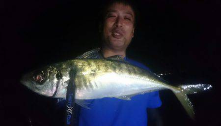 シースナイパー海龍 釣果