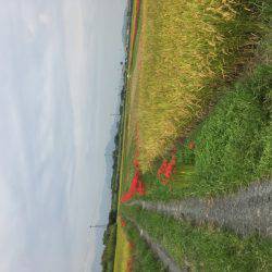 海季丸(みきまる) 釣果