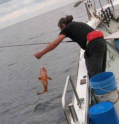 第二清洋丸 釣果