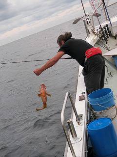 第二清洋丸 釣果