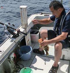 第二清洋丸 釣果