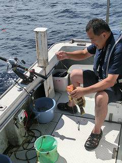 第二清洋丸 釣果