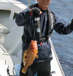 第二清洋丸 釣果