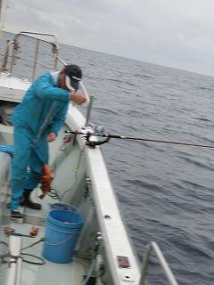 第二清洋丸 釣果