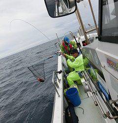 第二清洋丸 釣果