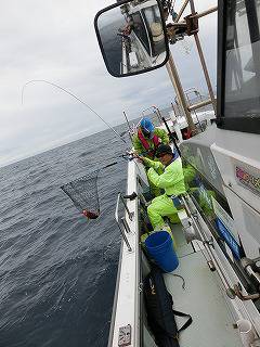 第二清洋丸 釣果