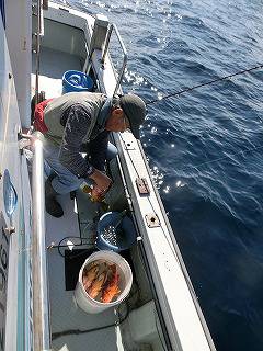 第二清洋丸 釣果