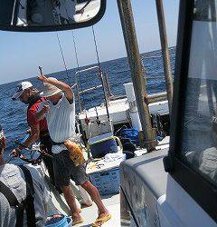 第二清洋丸 釣果