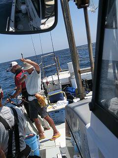 第二清洋丸 釣果