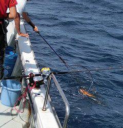 第二清洋丸 釣果