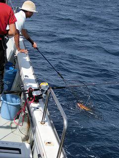 第二清洋丸 釣果