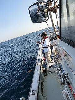 第二清洋丸 釣果