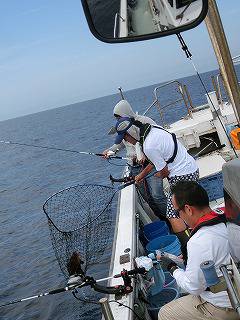 第二清洋丸 釣果